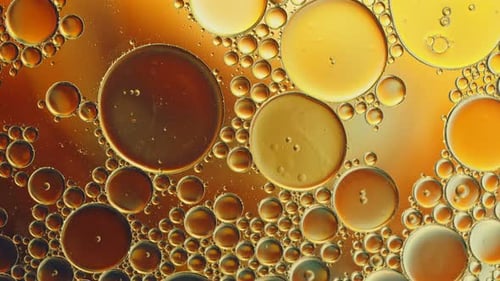 Abstract Colorful Food Oil Drops Bubbles And Spheres Flowing On Water A Surface 25
