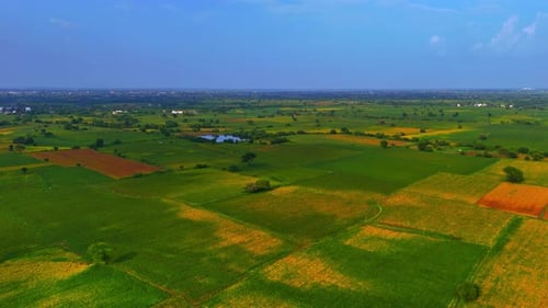 large area of greenish agriculture land filled with trees and under beautiful cloudy sky