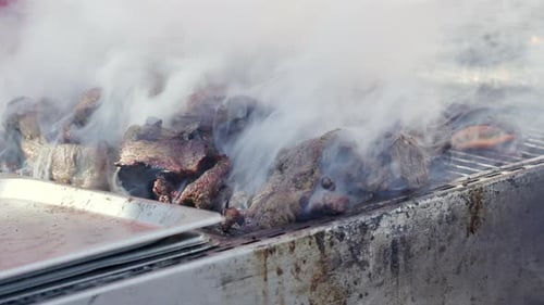 Detailed View of Flavorous Grilling Meat Outdoors