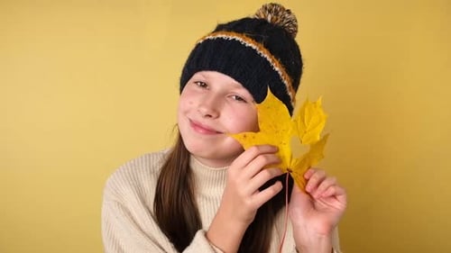 Nettes junges Mädchen in gestrickter, kuscheliger Kleidung mit herbstfarbenen Blättern auf farbigem Hintergrund, lächelnder Teenager
