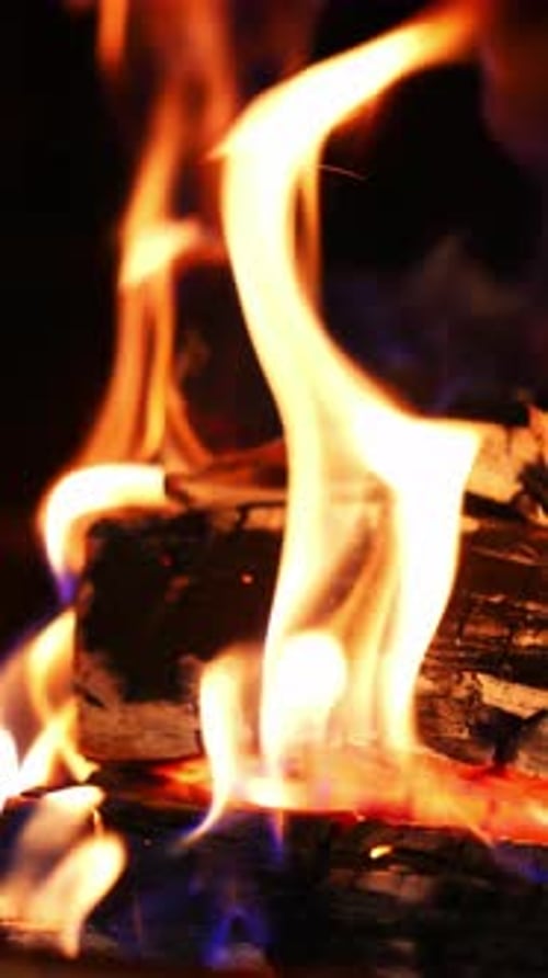 Burning Wood Fire With Intense Glowing Flames