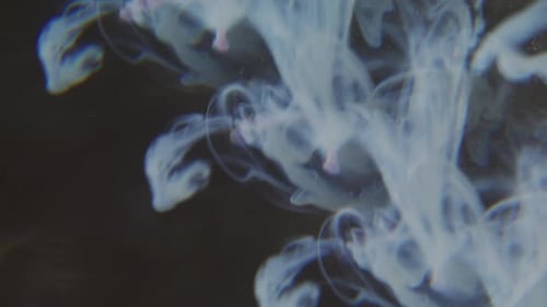 Defocused Smoke Swirl Ink Blob Art Prism Drip Dye