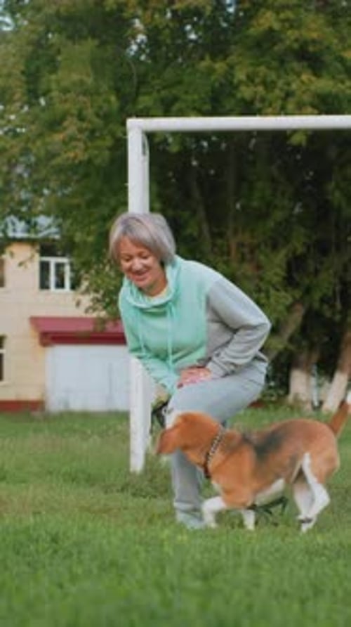 Woman Trains Dog Experienced Woman Patiently Trains Her Obedient Beagle in Park Senior Woman Calmly