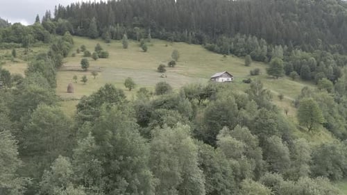 drone reveals a lovely wooden cabin in a hill surrounded by alpine trees.
