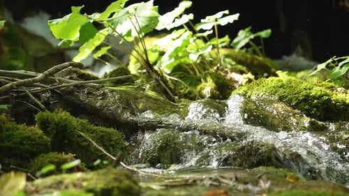 Kleiner Waldfluss, Waldbach, der über Felsen und Äste fließt. Nahaufnahme des plätschernden Wassers.
S
