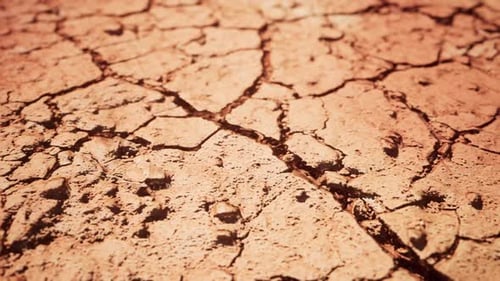 Ground Cracking In The Dry Desert Highlighting The Harsh Environment