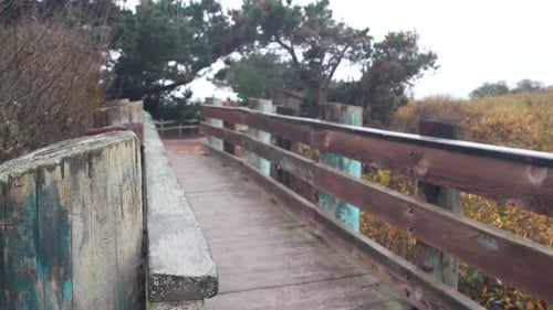 Wooden Bridge on Forest Trail Boardwalk Path for Trekking Catwalk Footbridge