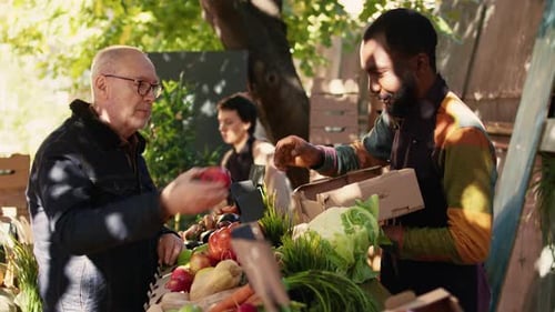 Elderly Adult Buying Colorful Fresh Eco Fruits and Veggies at Farmers Market