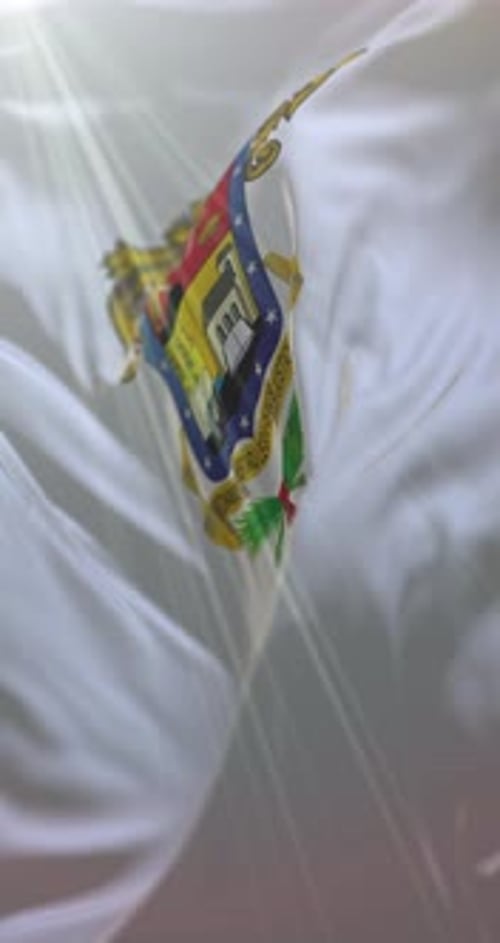 Realistic Waving White Flag with Emblem Loop