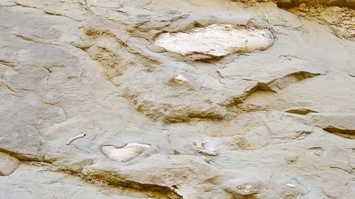 Detailed Geological Rock Formation in Natural Setting