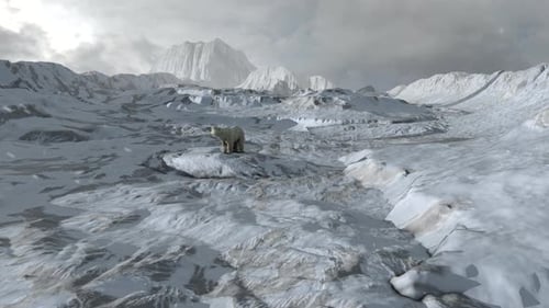 Eisbär steht auf verschneiter arktischer Felslandschaft, Luftbild