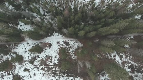 Aerial overhead shot showcasing the forest during winter.