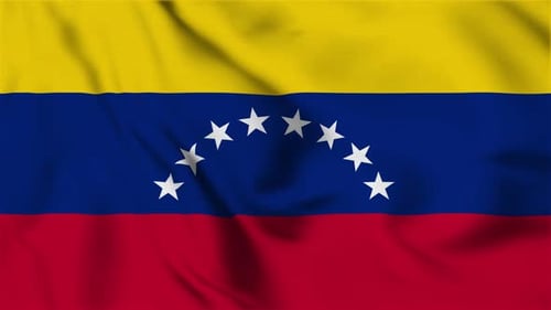 Realistic Waving Venezuela National Flag Loop