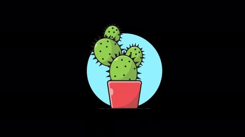 Cute Cactus Plant Animation Video - Transparent