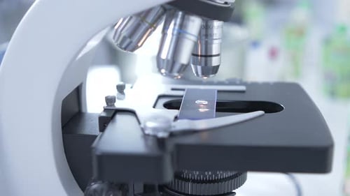 Examen en laboratoire au microscope d'une goutte d'eau