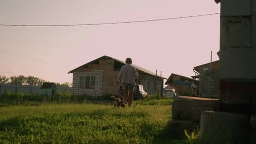 Person Walks Dog in a Rural Neighborhood