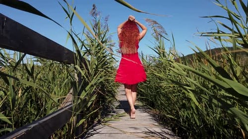 Woman in provocative red dress dancing in the middle of reed field on a wooden footbridge