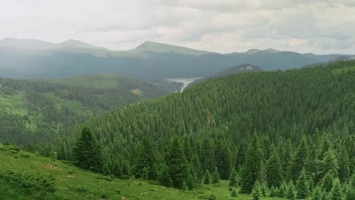Scenic view of a forest surrounding a lake, with mountains in the background