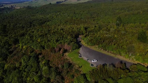 Lush Green Forest Landscape From Above