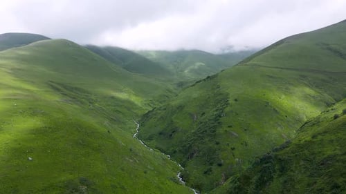 Alpine Meadows