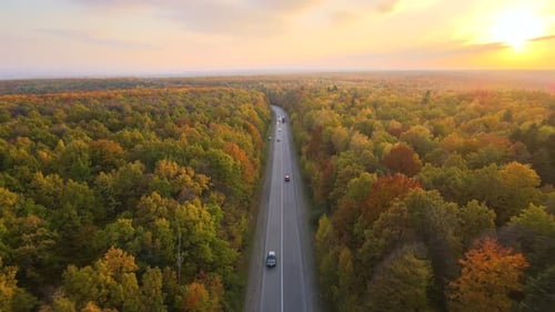 Aerial View of Rural Road Between Lush Forest with Colorful Canopies in Autumn Woods on Sunny