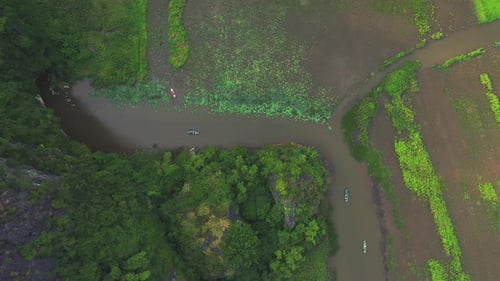 River, boat and drone in jungle with nature, landscape and travel on lake in Vietnam countryside