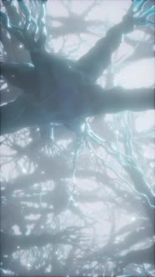 Journey Through a Neuron Cell Network Inside the Brain