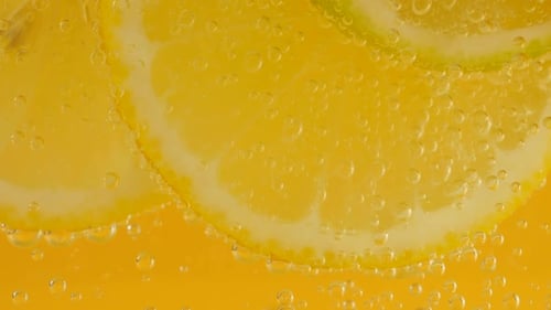 Lemon and Orange Slices in Bubbly Drink