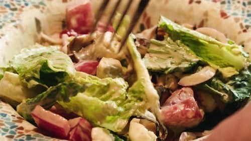 Bowl of Salad with Tomatoes, Lettuce, and Mussels