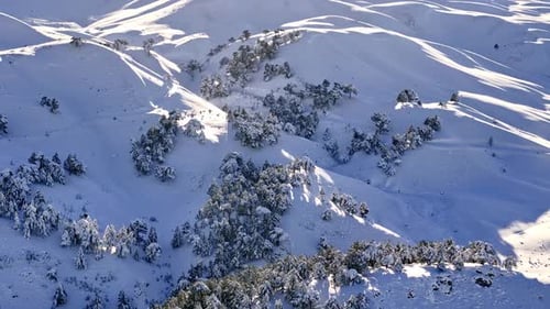 Aerial View of Snowy Mountain Landscape and Forest Under Winter Sunlight