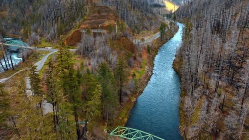 Bridges above the narrow mountainous rivers. Mighty rocks are covered with dry trunks of pine trees