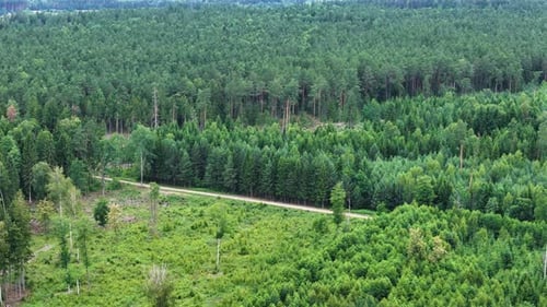 Paysage forestier, vue aérienne par Drone