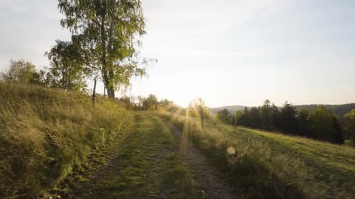 A Walk Up a Grasscovered Path Between Green Pastures Bordered By Electric Fences Up a Hill