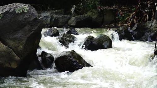 Water river courses through the rock on the dreary dark forest. Clear water stream glides over rocks
