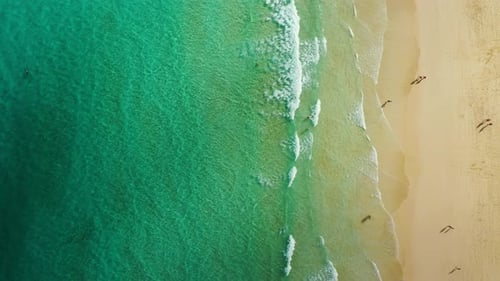 Beach with turquoise water on Fuerteventura island, Spain, Canary islands. Aerial view of sand beach