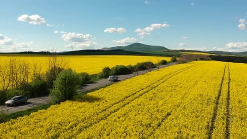 Cars passing by on a country road between rapeseed plantations with hills and a town in the backgrou