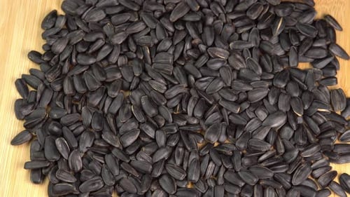 Roasted Sunflower Seeds Close-up rotate on wooden background. Harvesting Sunflower Unpeeled Seeds