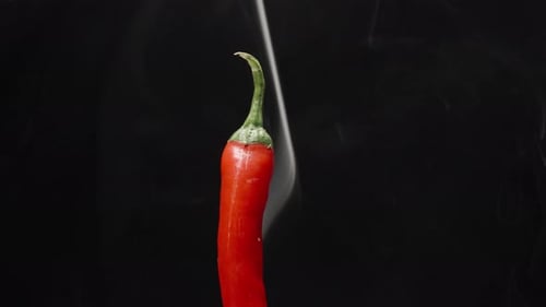 Burning red pepper, smoke is coming from it, it rotates on a black background. Close-up
