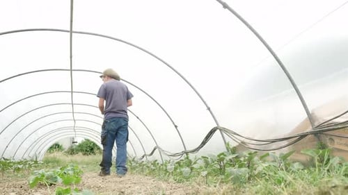 Adult Farmer Walking In Green House