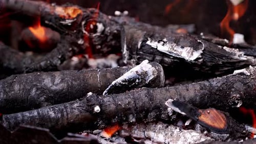 Des langues de feu. Gros plan d'un feu en plein air