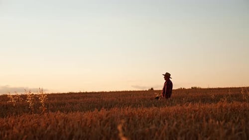 Rancher in a hat walks by the field of wheat at sunset.