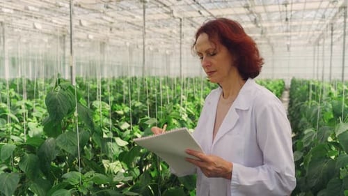 Scientist Woman Biologist Studies Plant Leaves in a Greenhouse An Adult Female Greenhouse Worker is