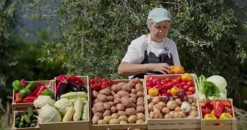 Elderly Woman Farmer Selling Vegetables at Farmers Market