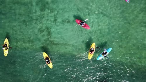 drone shot, top angle of a group of kayaks in the water, water activities, in Auckland New zeal