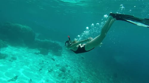 Vidéo 4K d'une femme méconnaissable faisant du snorkeling seule pendant ses vacances en Indonésie