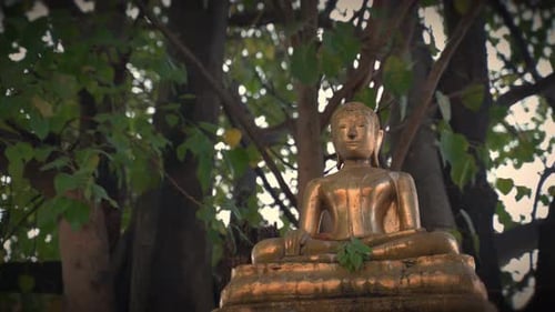 Majestic golden Buddha statue inside a temple, representing enlightenment and peace