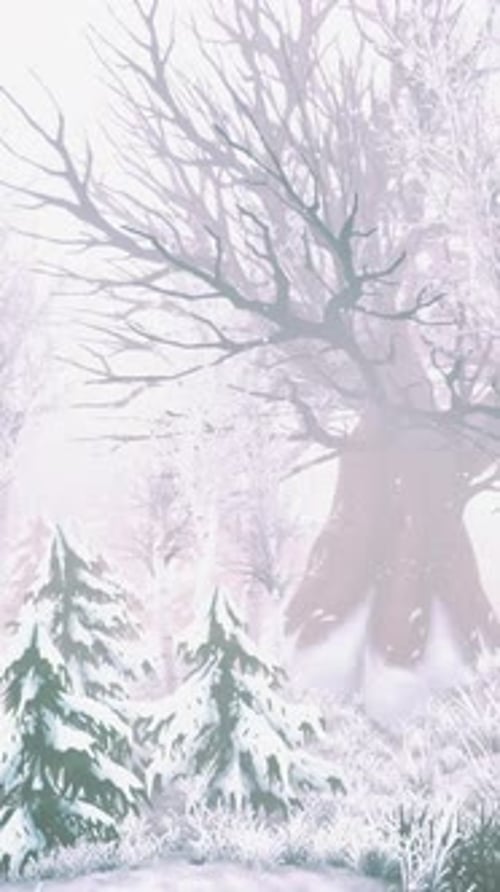 Winter Storm in a Forest in Winter