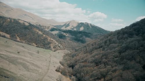mountain landscape with trees