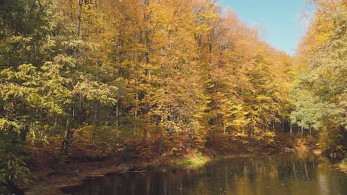 Lake in Autumn Forest