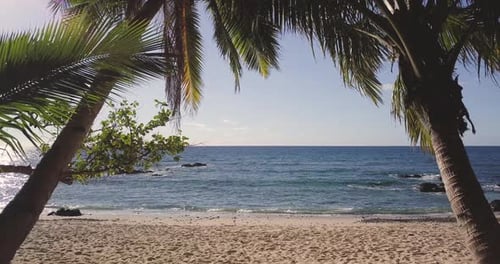 Aerial view of a magnificent landscape: an island with white beach, crystal clear sea, palm trees.